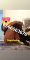 Escort Model Danygarciascort Ciudad Juarez Standard Sexual Services