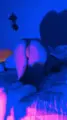 Escort Model Jessica Playa del Carmen Standard Sexual Services
