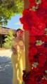 Escort Model Lana Tulum Standard Sexual Services